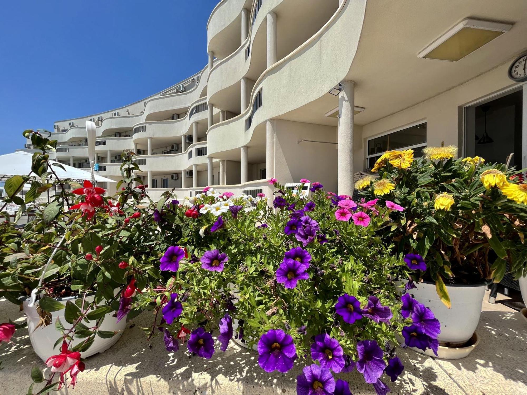 Апартаменти Сънбрийз - Sunbreeze Apartments Byala  Exterior photo